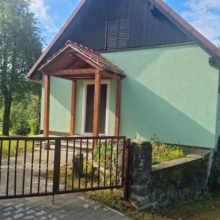 Forest Chalet Zalesina Luaran gambar