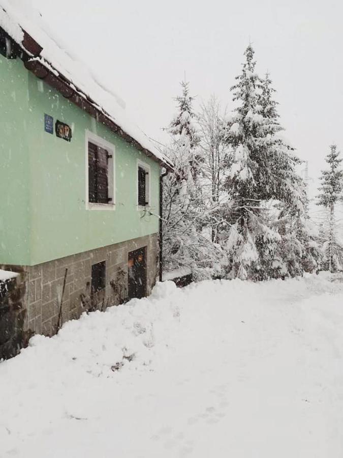 Forest Chalet Zalesina Luaran gambar