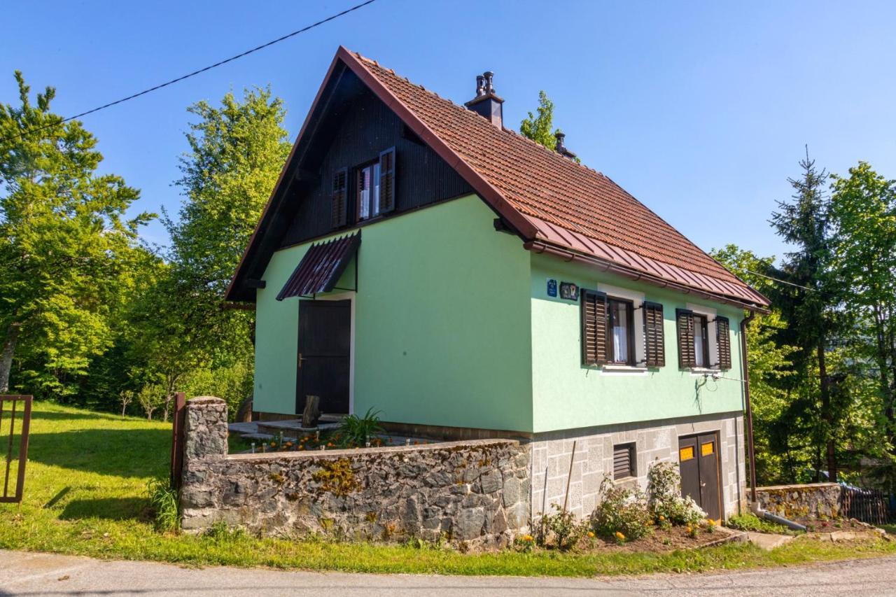 Forest Chalet Zalesina Luaran gambar