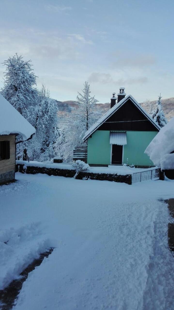 Forest Chalet Zalesina Luaran gambar